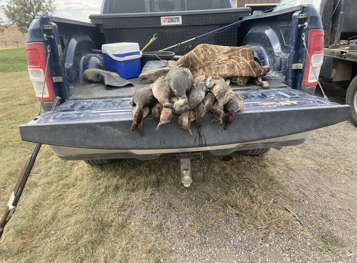 Geese and ducks lined along a truck tailgate after a Kansas field hunt