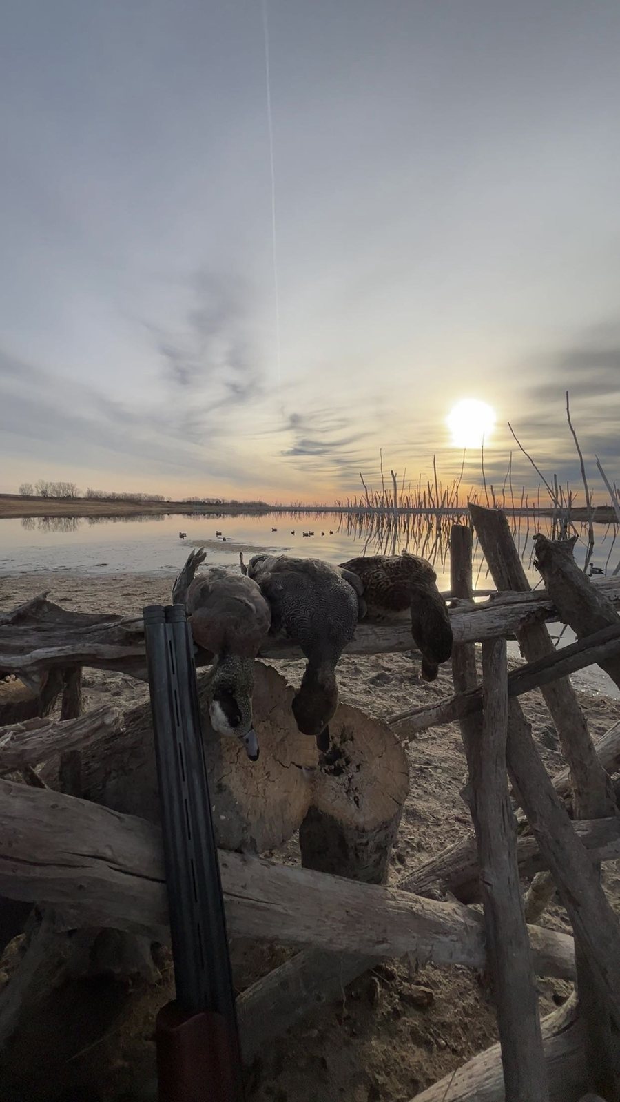 First light over the decoy spread from a Kansas blind
